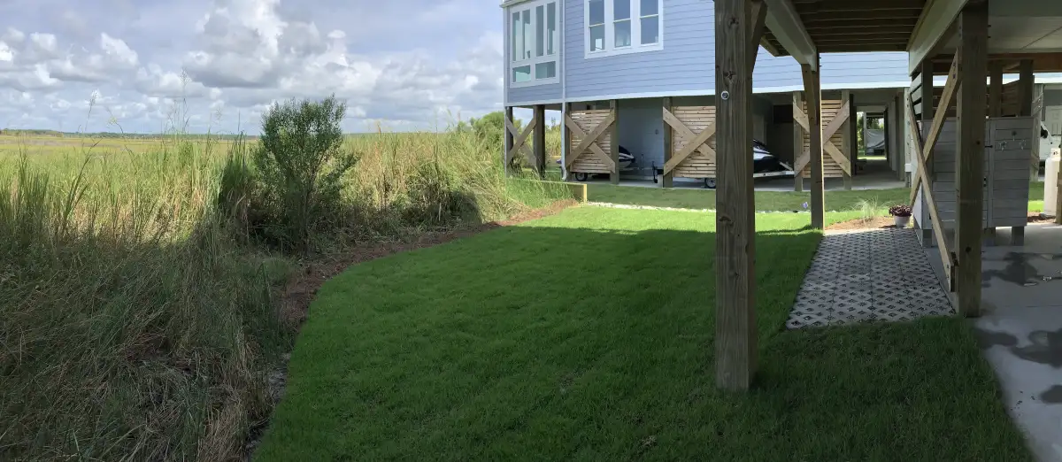 Full landscape design installation with mature plantings and curved bed lines in eastern NC